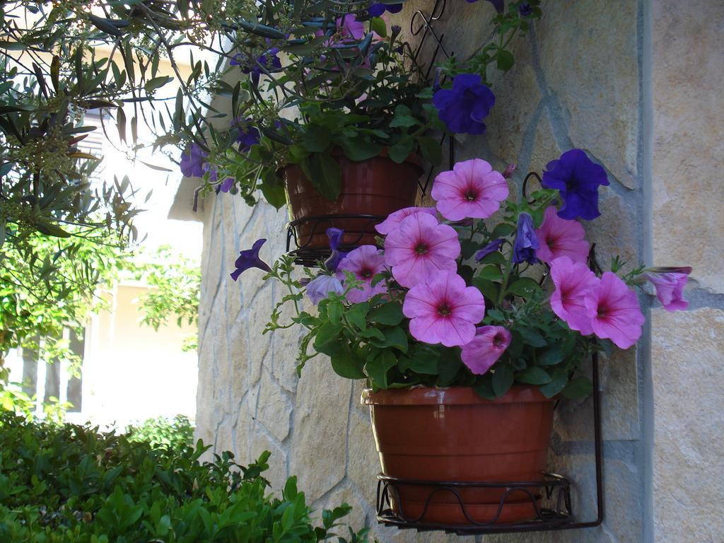 Apartments Villa Lilla Baška Voda Extérieur photo